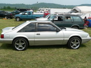 Mustang